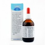 Biancospino  - Olivo - Ginko Biloba - 50 ml